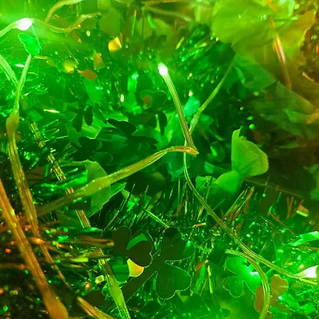 Townhouse 컨트리하우스